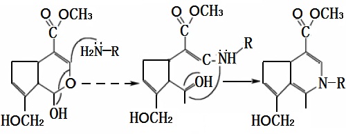 京尼平（C11H14O5）与氨基化合物（H2N-R）的反应机理示意图
